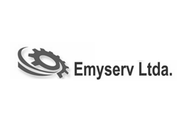 logo_emyserv_tiny